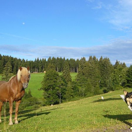 Hoehengasthaus Kolmenhof An Der Donauquelle Furtwangen Ngoại thất bức ảnh