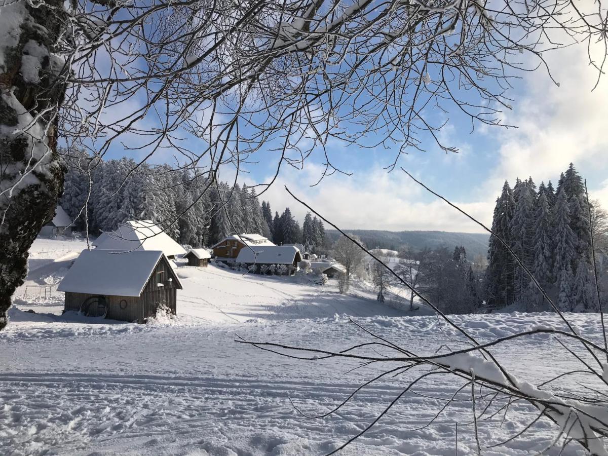 Hoehengasthaus Kolmenhof An Der Donauquelle Furtwangen Ngoại thất bức ảnh