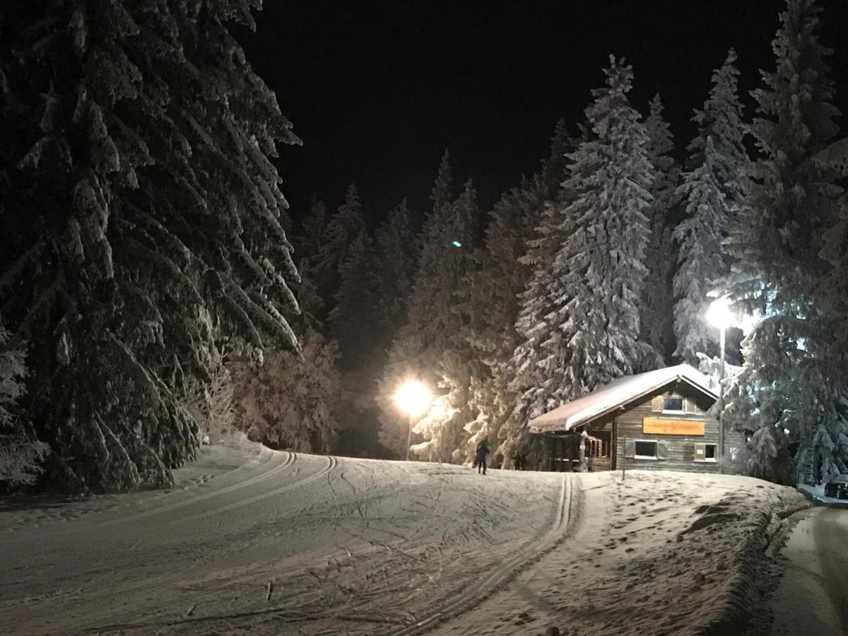 Hoehengasthaus Kolmenhof An Der Donauquelle Furtwangen Ngoại thất bức ảnh