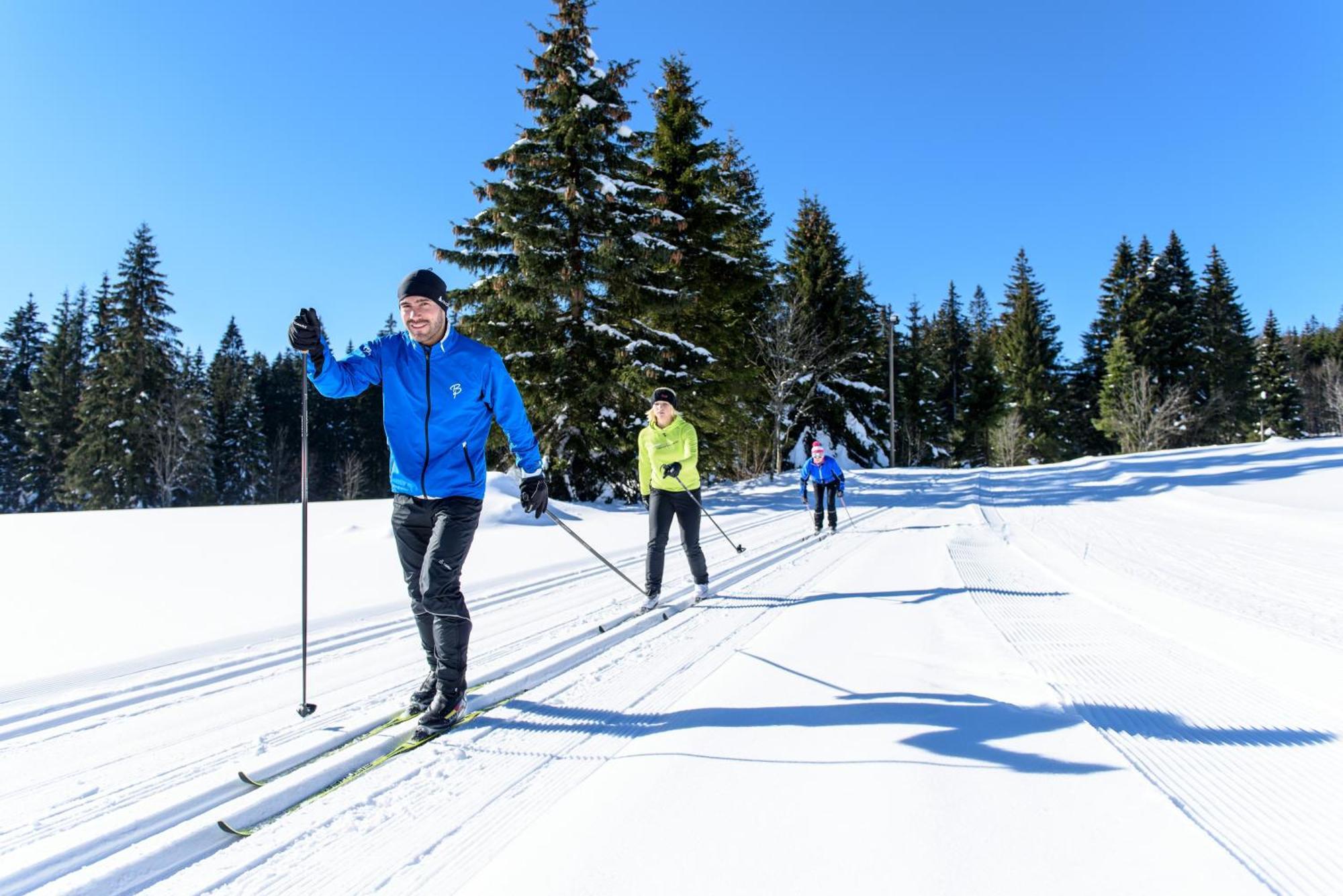 Hoehengasthaus Kolmenhof An Der Donauquelle Furtwangen Ngoại thất bức ảnh