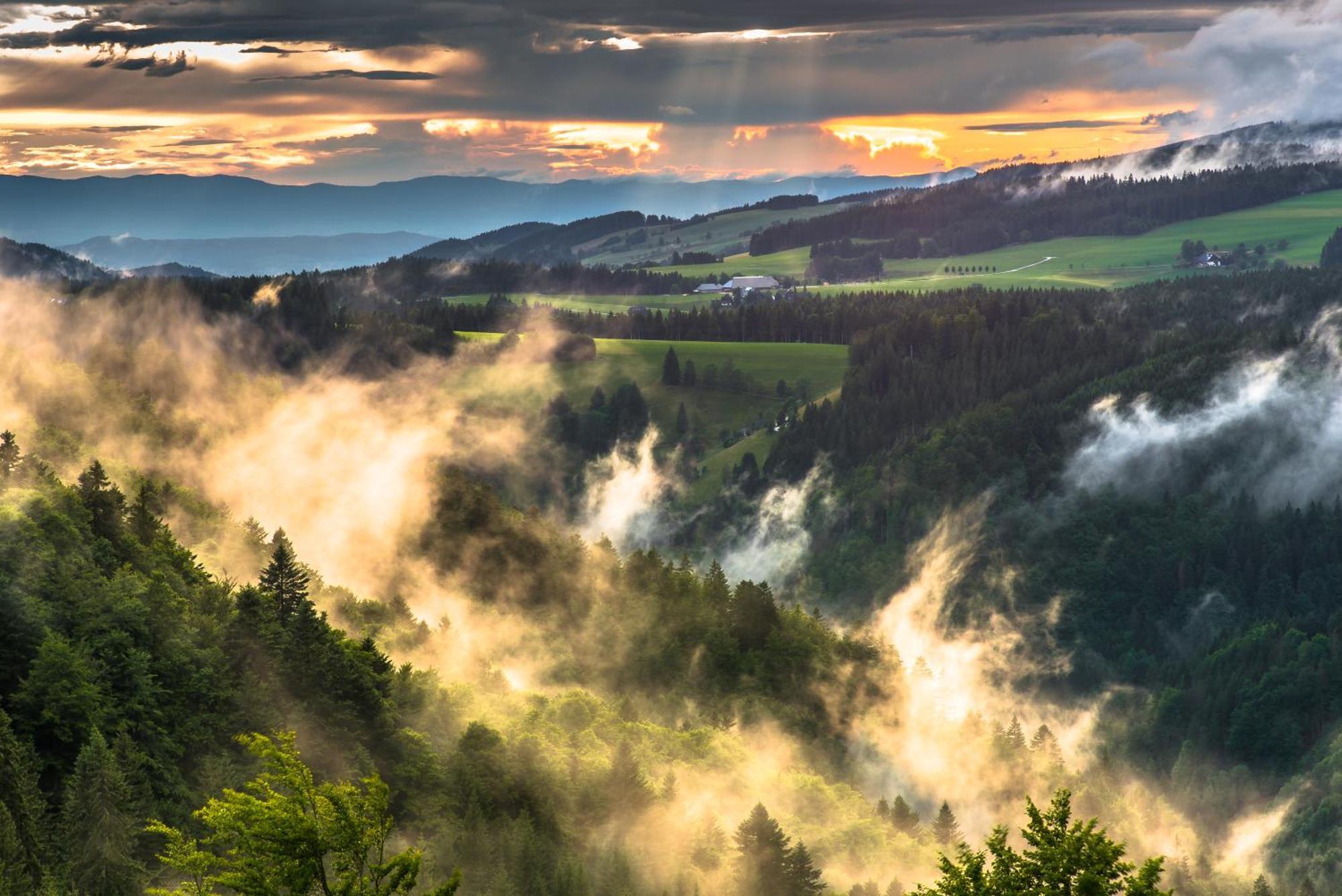 Hoehengasthaus Kolmenhof An Der Donauquelle Furtwangen Ngoại thất bức ảnh