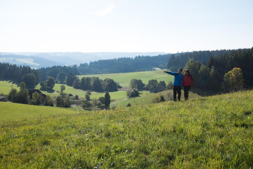 Hoehengasthaus Kolmenhof An Der Donauquelle Furtwangen Ngoại thất bức ảnh