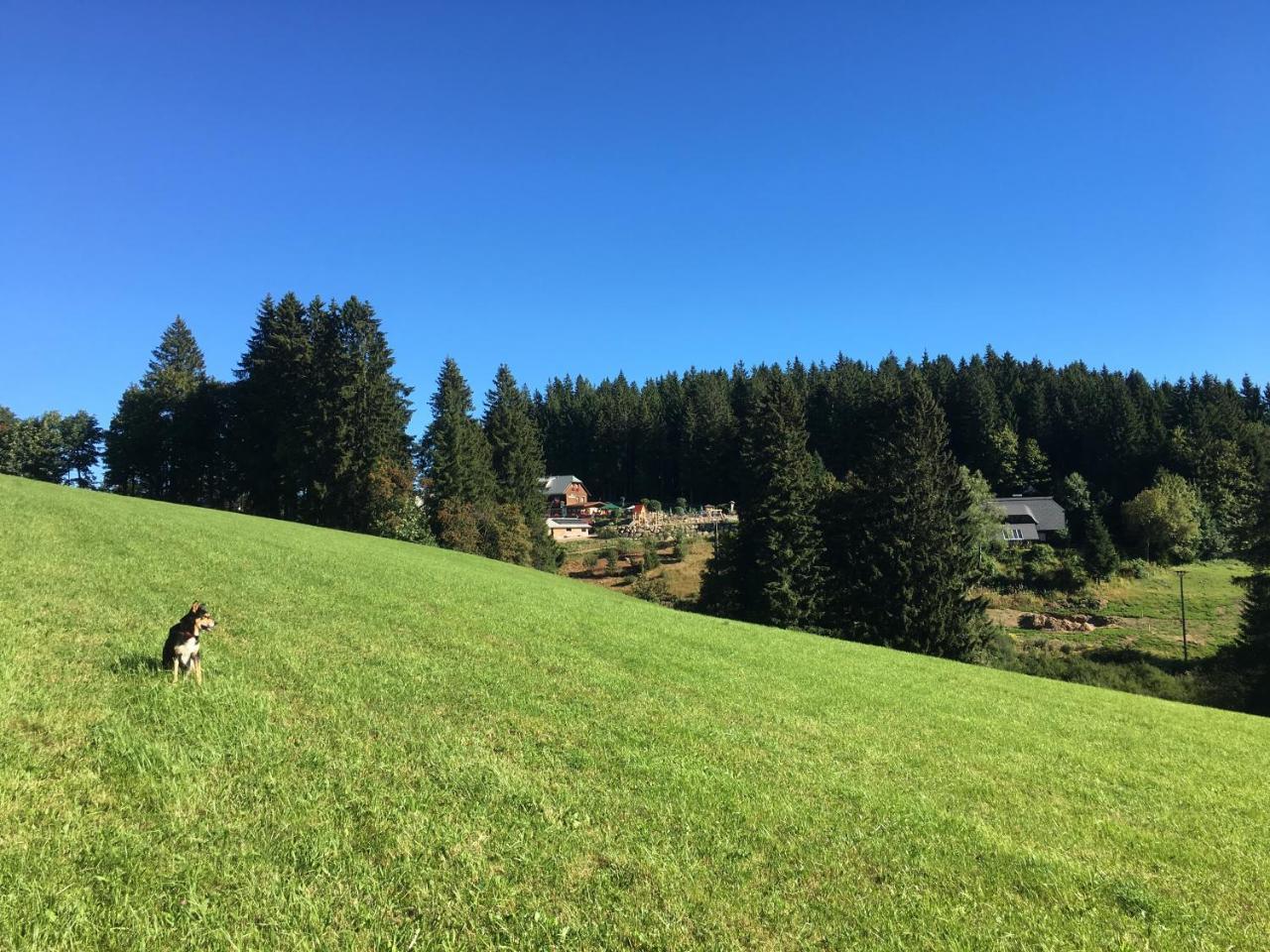 Hoehengasthaus Kolmenhof An Der Donauquelle Furtwangen Ngoại thất bức ảnh